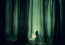 whimsical, misty, green forrest with the silhouette of a little girl holding a lantern 