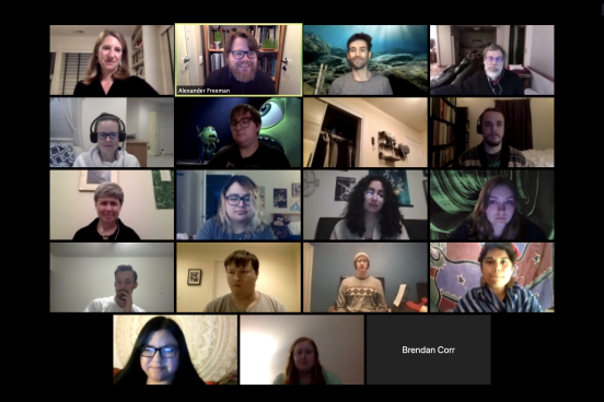Multiple zoom screens of people