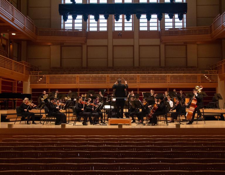 Picture from back of the hall of the orchestra performing