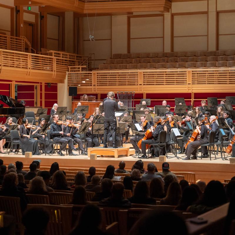 Orchestra _042526