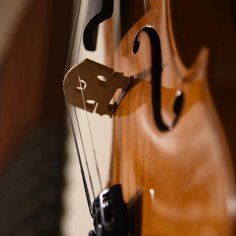 violin closeup