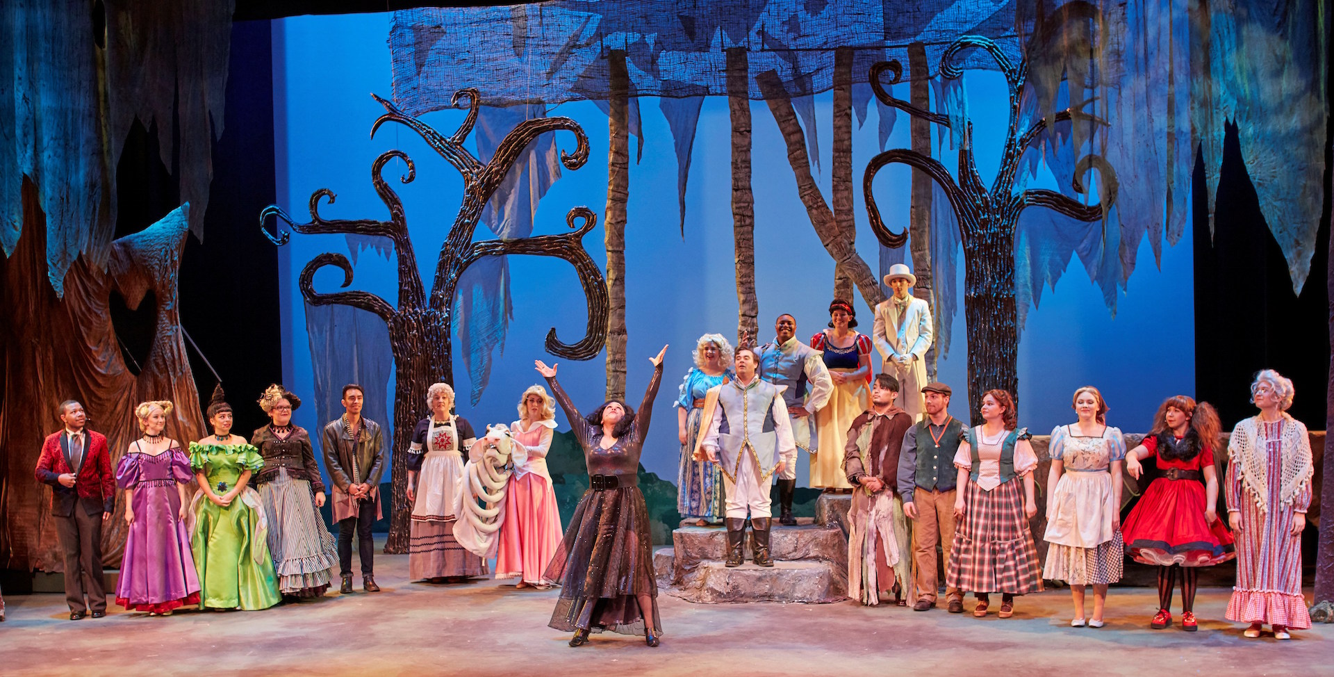 Cast of Into the Woods on stage