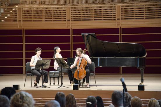 Trio Ariadne