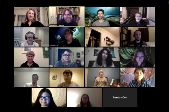Multiple zoom screens of people