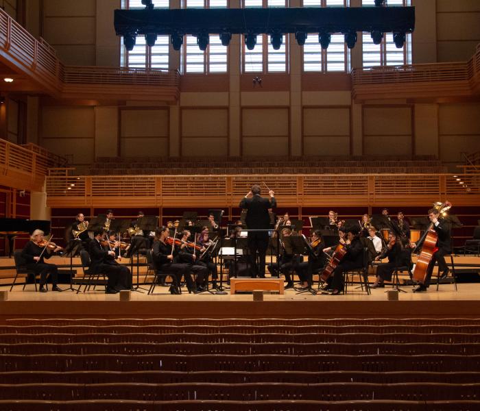 Picture from back of the hall of the orchestra performing