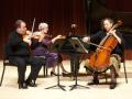 The Navarro Trio are Sonoma State's Chamber Artists-in-Residence