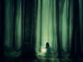 whimsical, misty, green forrest with the silhouette of a little girl holding a lantern 