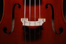 This is a close-up photograph of a violin