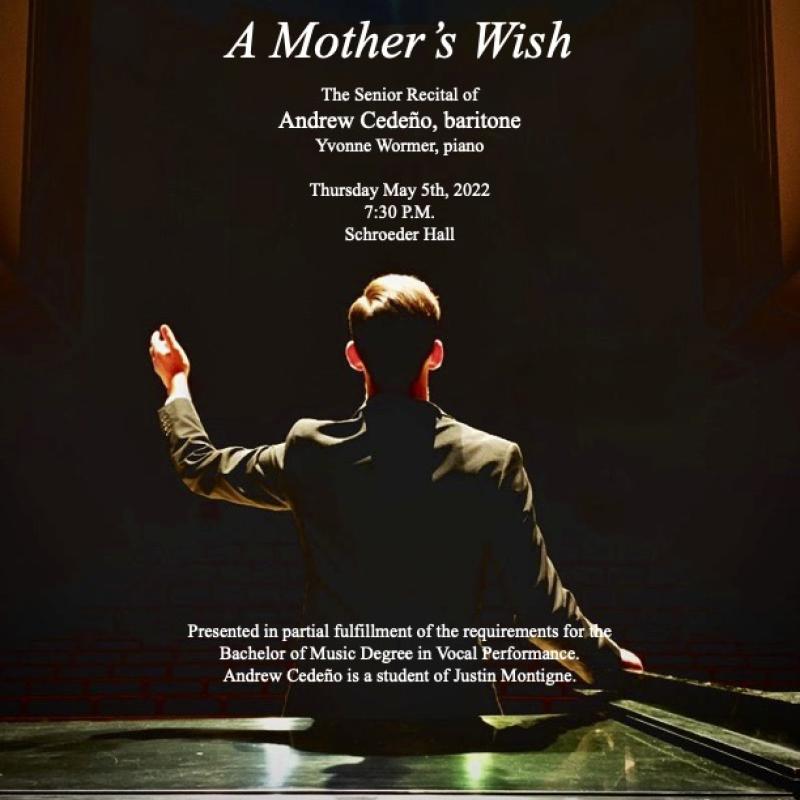 A Mother's Wish poster
