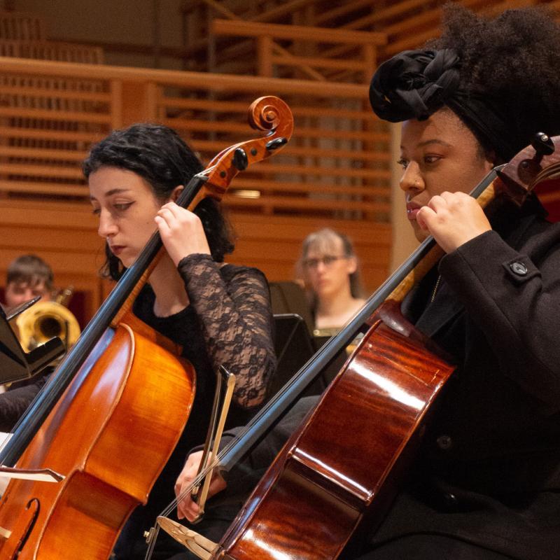 cellos