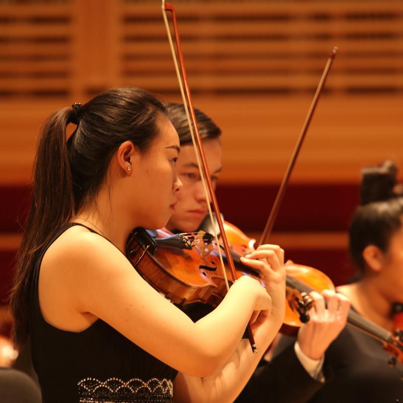 mid shot of two violinists performing in orchestra