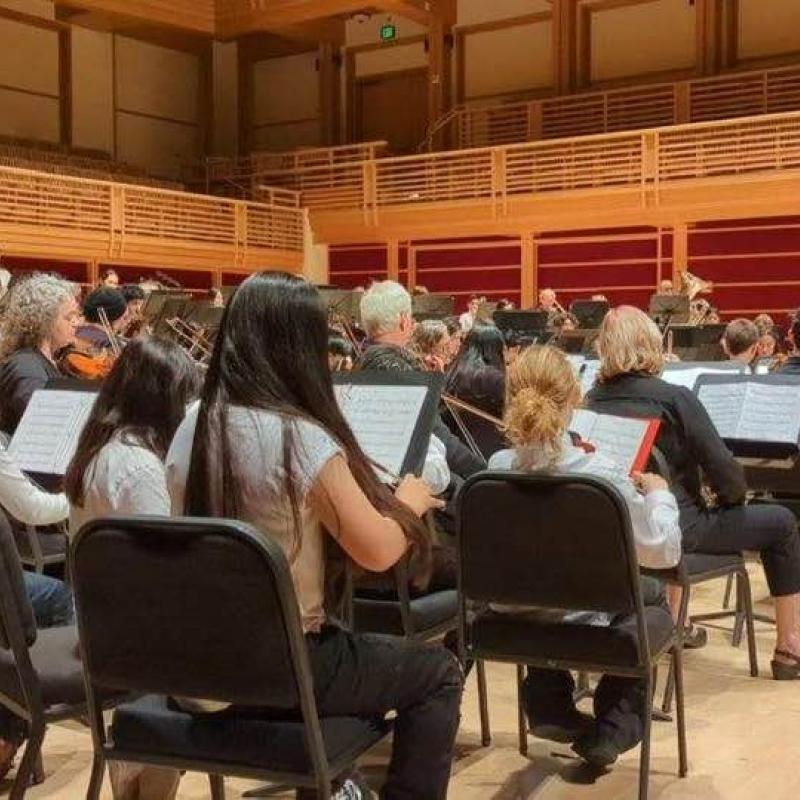 Side shot of orchestra performing on stage