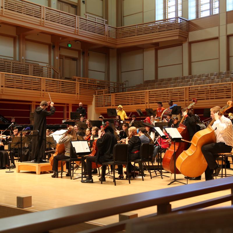 Orchestra performing on stage wearing costumes