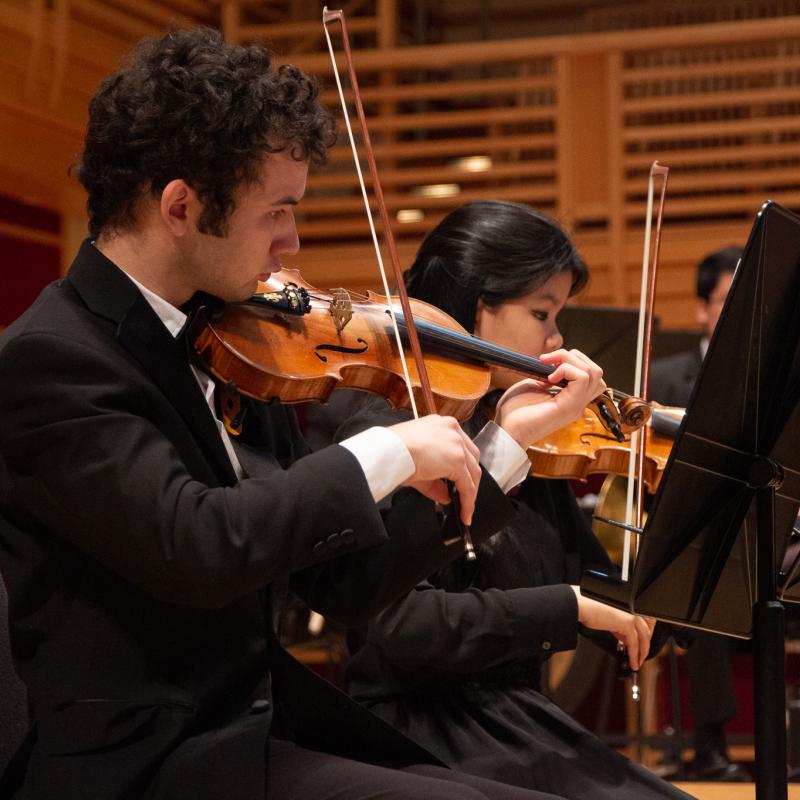 Two violinists