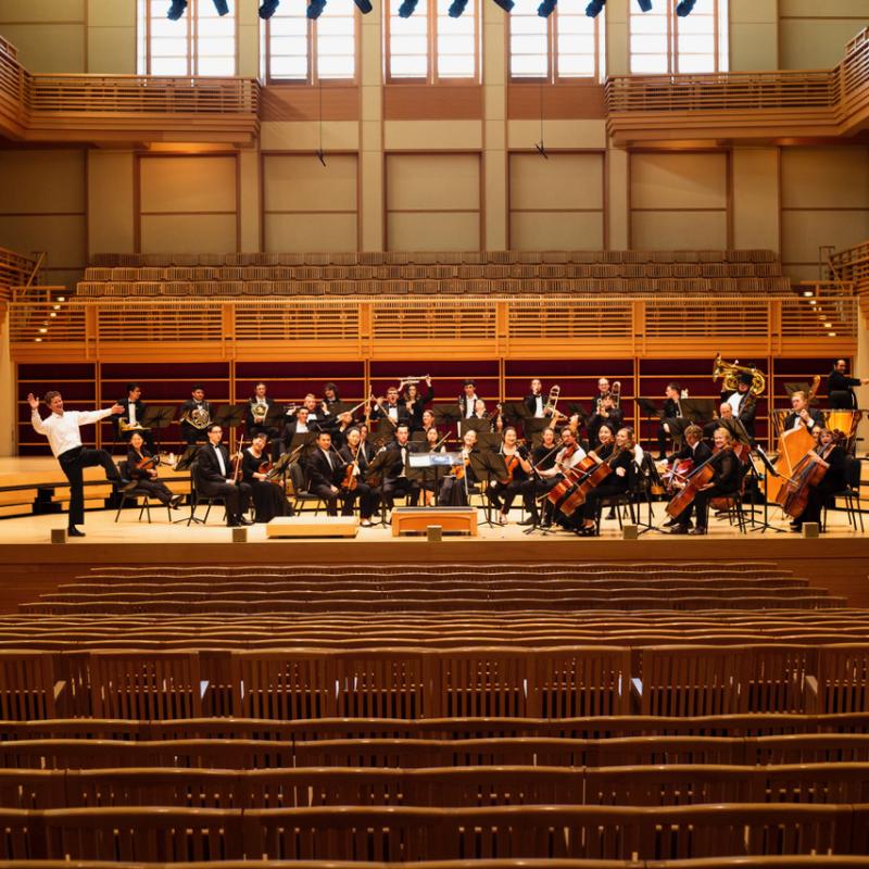 Funny portrait of the orchestra from the center of the hall 