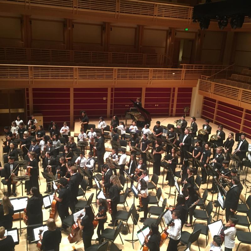 Aerial view of the orchestra standing on stage