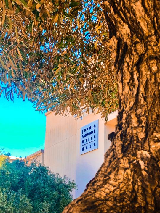 this is a pic of the outside of the Green Music Center