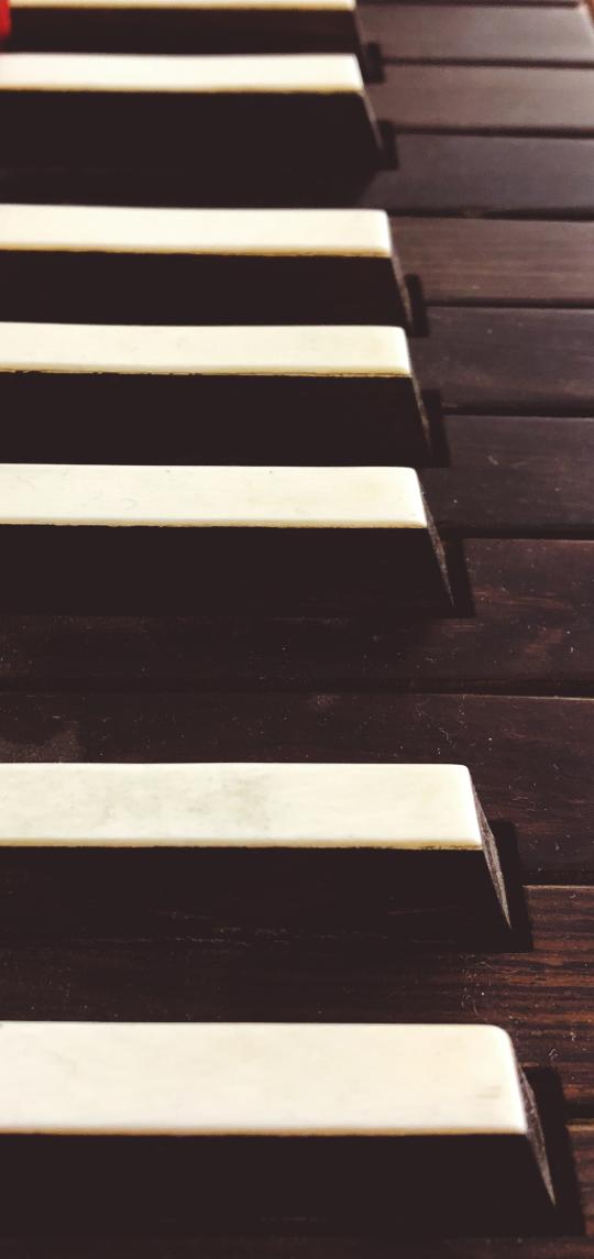 Close-up of some of the wooden and laminate keys of a 1692 clavichord