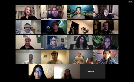Multiple zoom screens of people