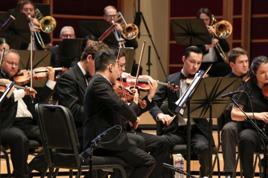 Group of Violinists playing together