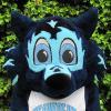 Lobo (Title Text) Lobo Seawolf