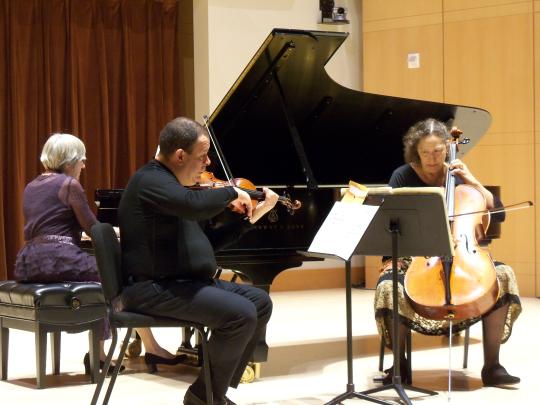 Navarro Trio Chamber Artists-in-Residence, The Navarro Trio