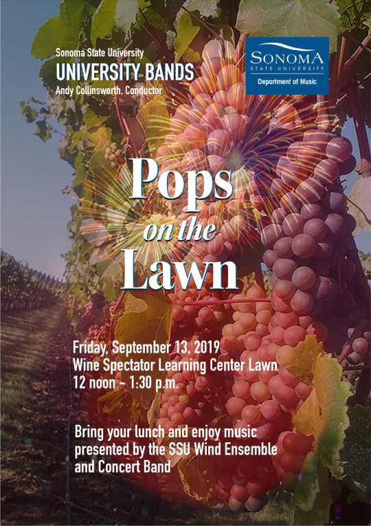 This is a poster for the Pops on the Lawn concert