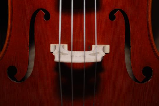 This is a close-up photograph of a violin