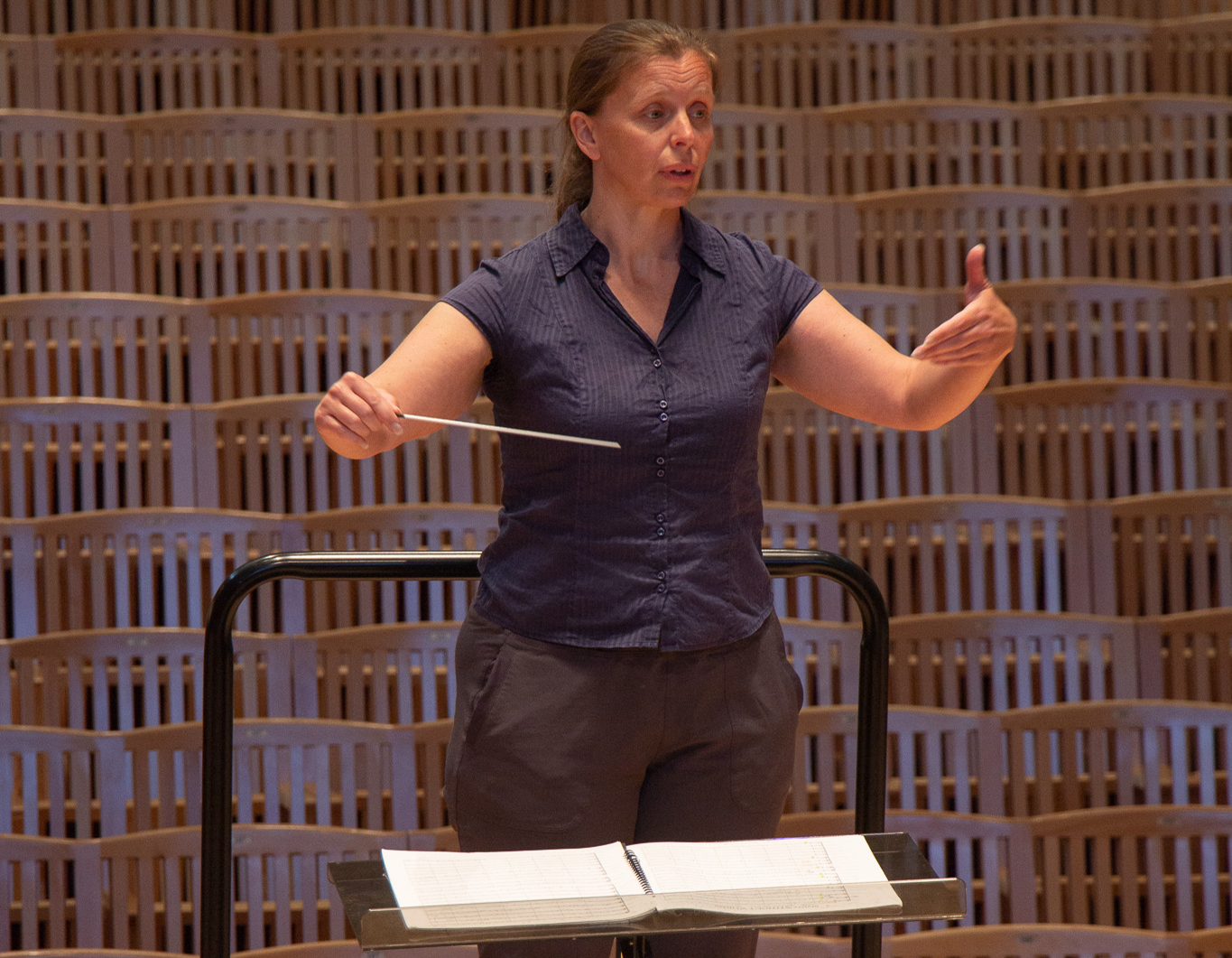 person conducting with arms pointed inward